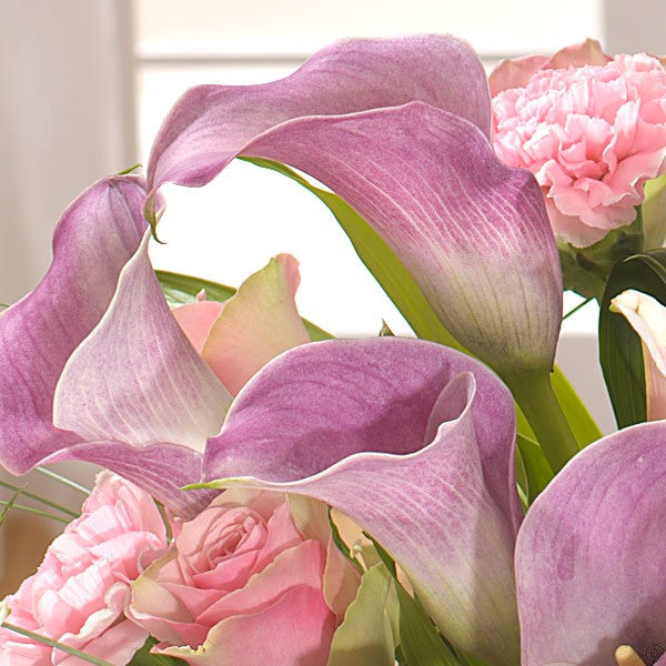 Because She's Worth It!