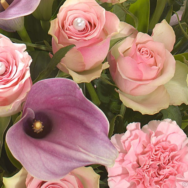 Because She's Worth It!