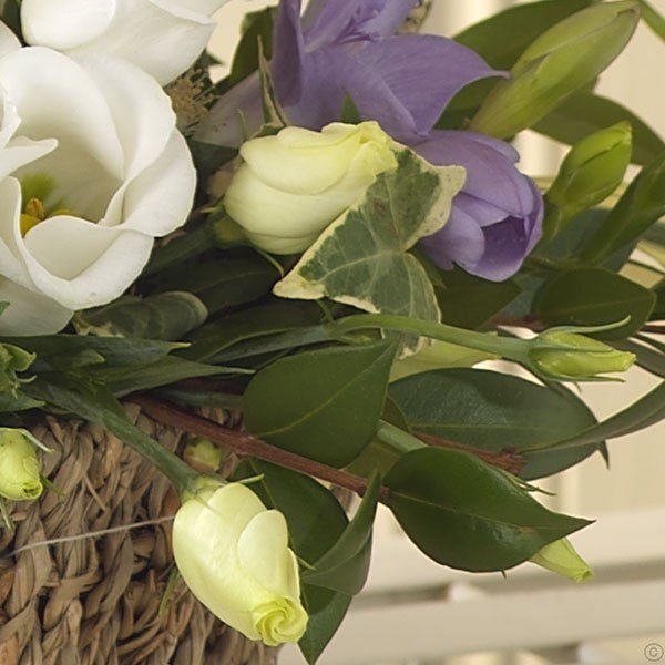 Blue Lullaby Gift Set