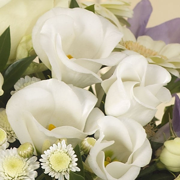 Blue Lullaby Gift Set