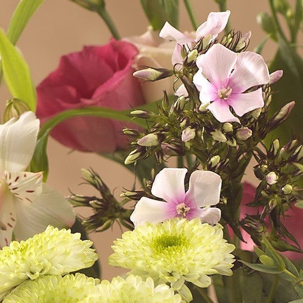 Ice Cream Sunday Gift Set