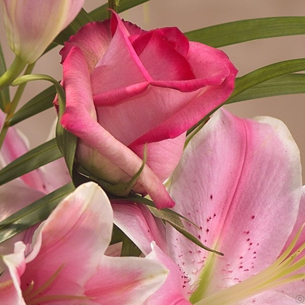 Ice Cream Sunday Gift Set