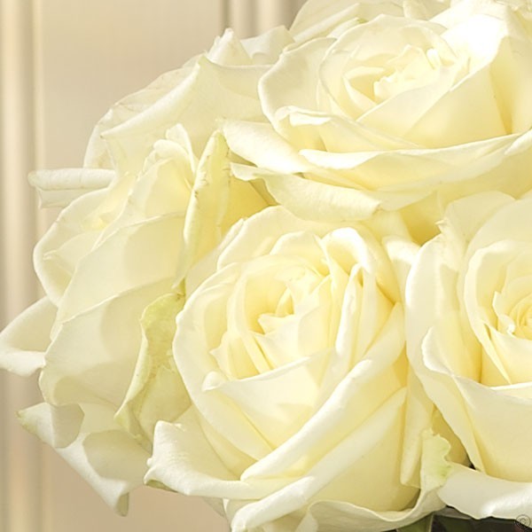 Mother and Baby Boy Gift Set