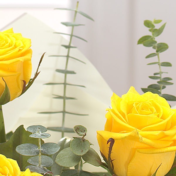 A Dozen Yellow Roses