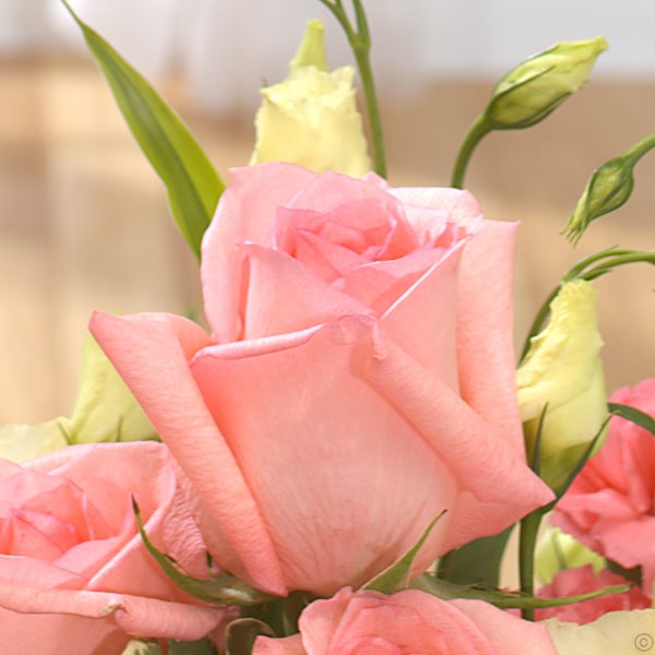 Pink Serenity